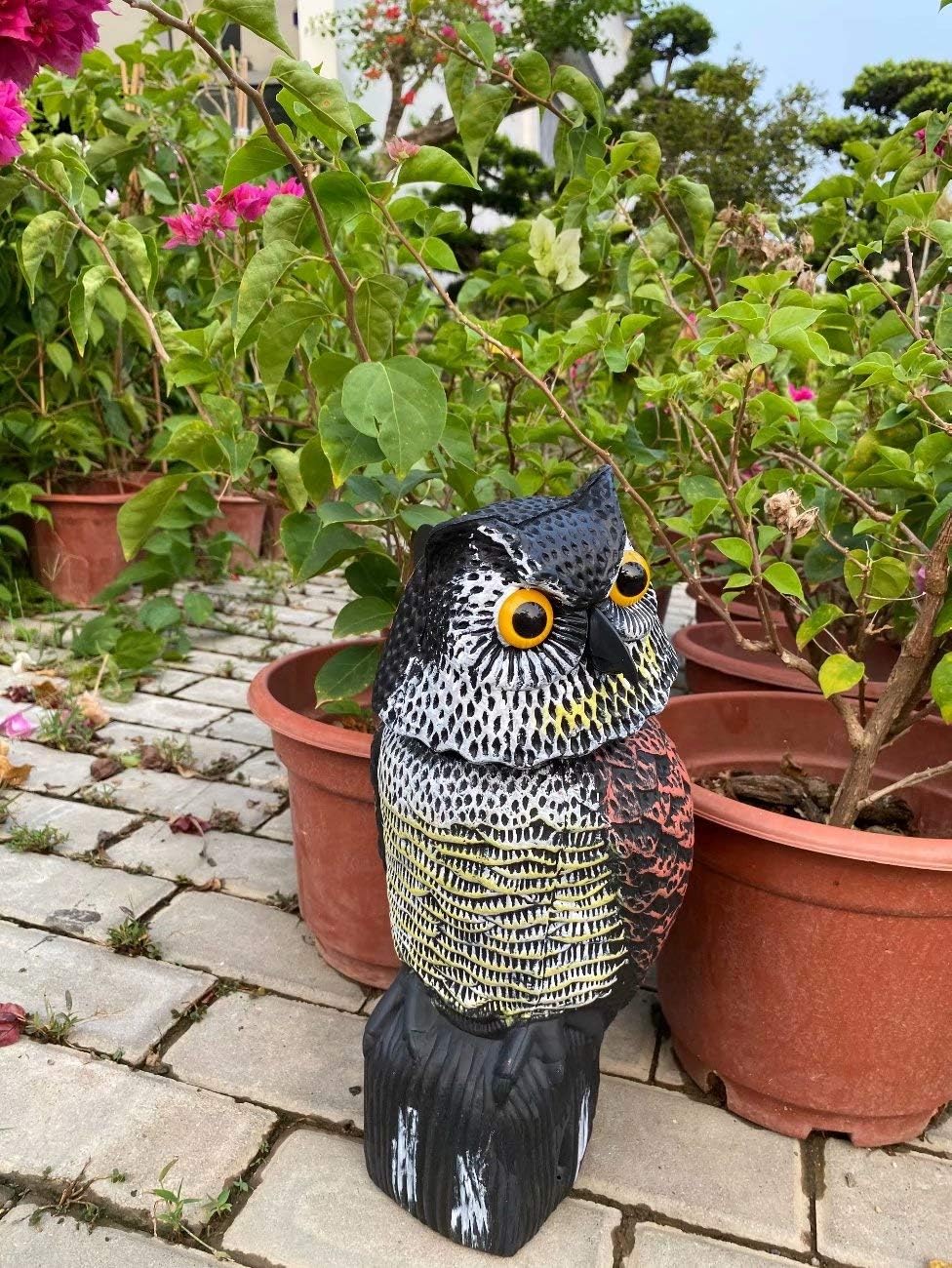Owl Decoy with 360 Rotating Head to Scare Birds V474