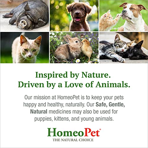 Natural Nasal and Sinus Medicine for Cats, 15 Milliliters K2098