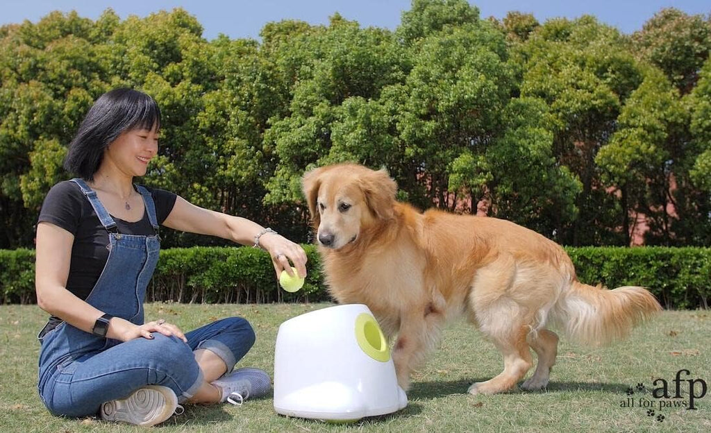 Dog Ball Launcher Automatic with 9 Tennis Balls T2766