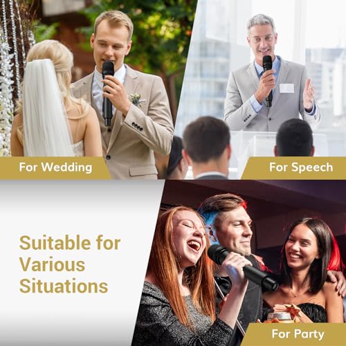Wireless Microphone System with Receiver for Karaoke and Singing Y613740