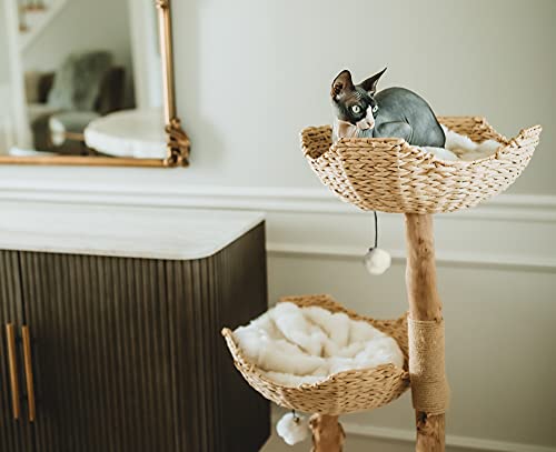 Modern Cat Tree Tower for Large Cats with Scratching Posts I41660