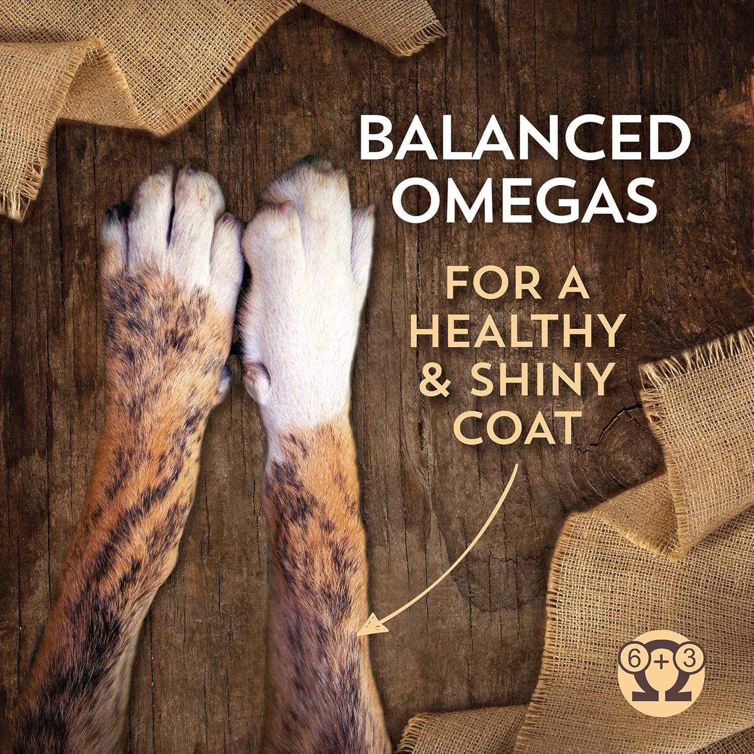Chicken Meal and Rice Dry Dog Food, 40 Lb. H9339
