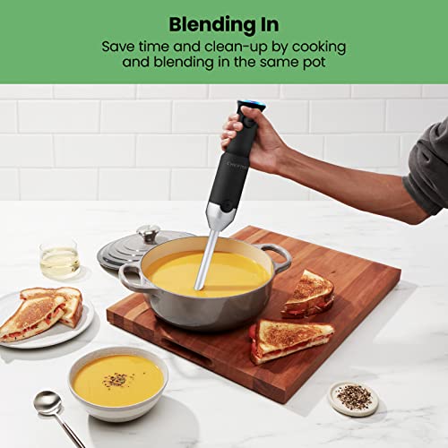 Cordless Portable Immersion Blender Set with Ice Crushing Power R42319