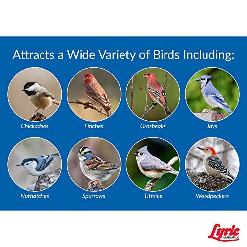 Wild Bird Mix Bird Seed for Outside Feeders, 40 lb. Bag C71327