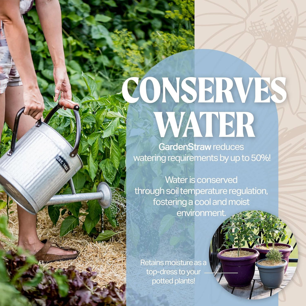 Mini Mulch for Gardens, Vegetables, Lawn Seeding - Water-Conserving Wheat Straw Z7214