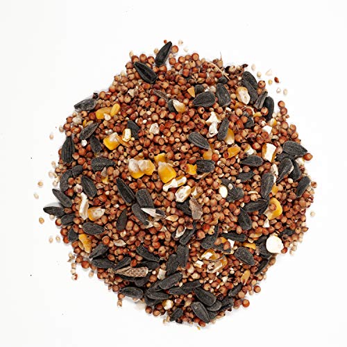 Safflower Seed Wild Bird Food, 5 Pound C58714