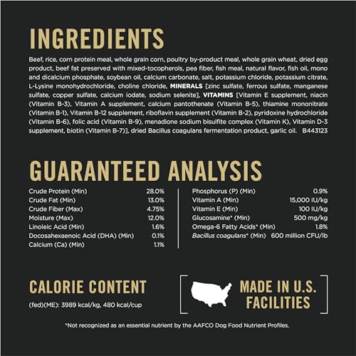 Large Breed Dry Puppy Food, Chicken and Rice Formula, 18 lb. Bag Z9086