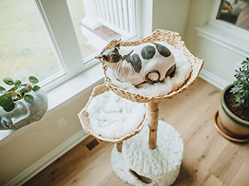 Modern Cat Tree Tower for Large Cats with Scratching Posts I41660