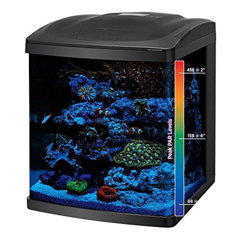 LED BioCube Aquarium Fish Tank Kit, 16 Gallon R351