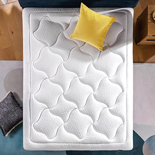 Queen Size 8 Inch Memory Foam Mattress, Fiberglass Free C102546