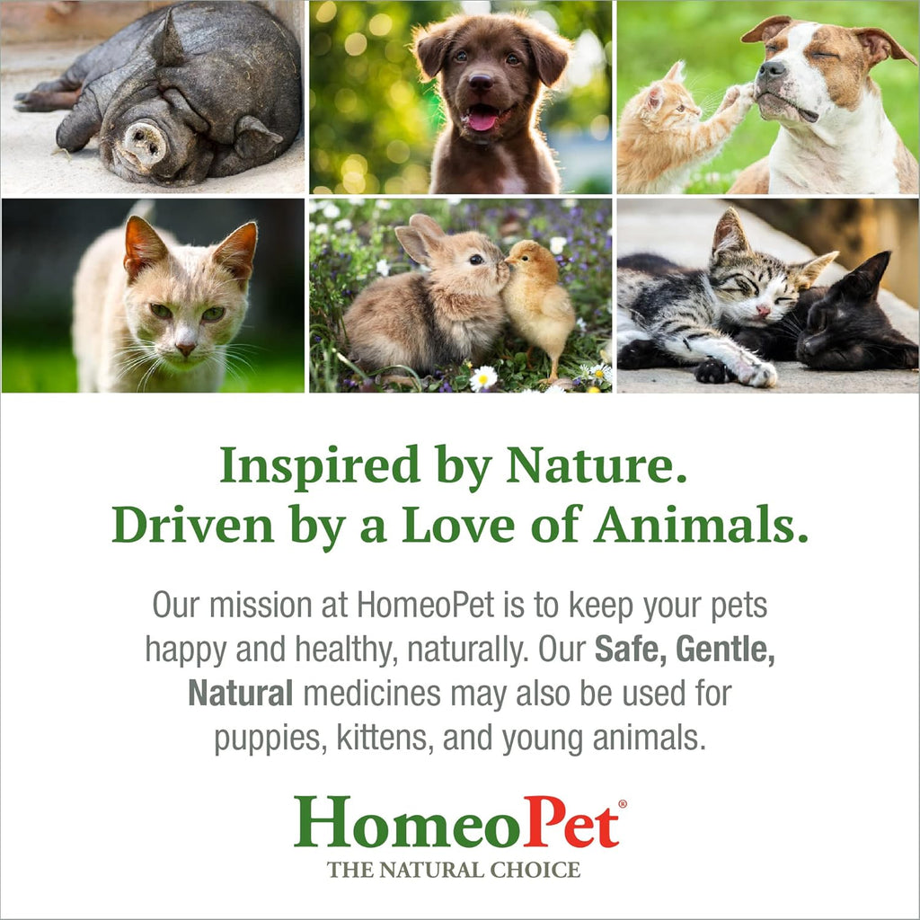 Feline Digestive Support for Cats and Kittens, 15 Milliliters N799107