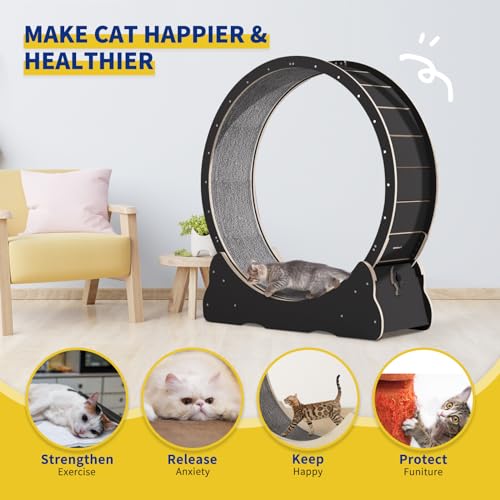 Cat Exercise Wheel for Indoor Cats with Anti-Scratch Pads S26607