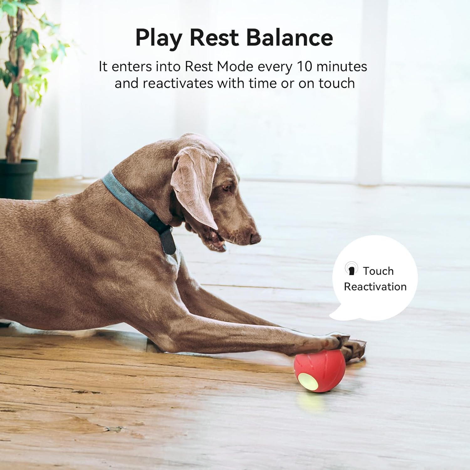 Smart Interactive Dog Toy, Automatic Moving Rolling Ball with LED Lights C106