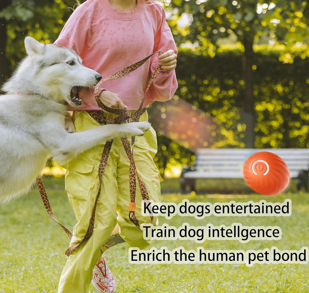 Interactive Dog Toy Ball, Rechargeable, Motion Activated S179