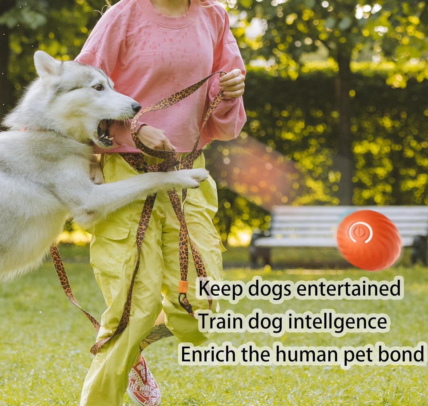 Interactive Dog Toy Ball, Rechargeable, Motion Activated S179