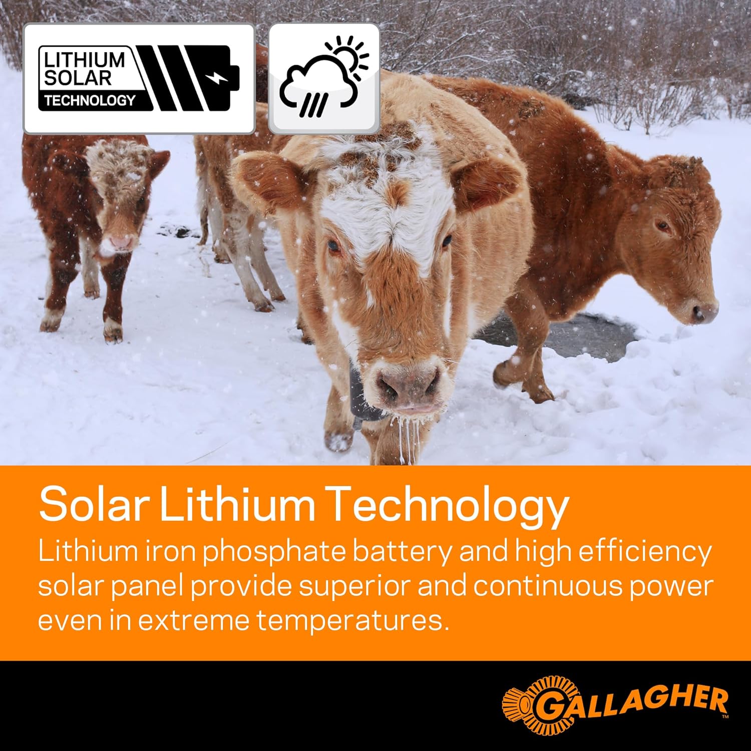 Solar Electric Fence Charger for Livestock, Poultry, and Gardens K80473