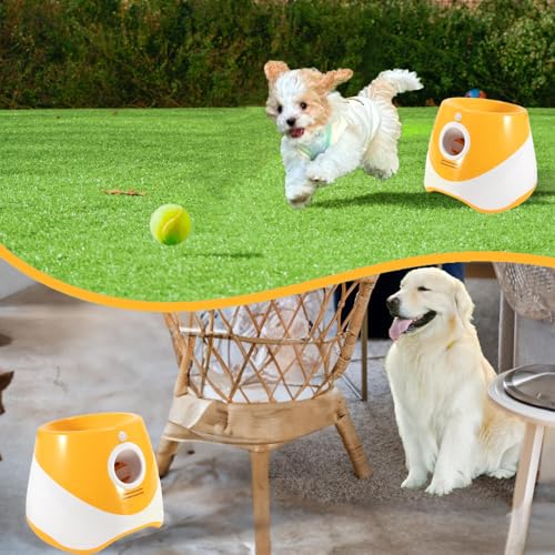 Automatic Ball Launcher for Dogs, Indoor Outdoor, 3 Speed, Small Medium Dogs B599856