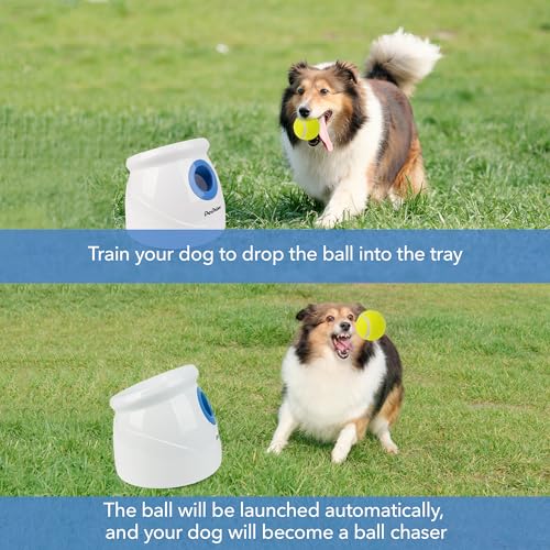 Automatic Ball Launcher for Large Dogs with Tennis Balls Q1905