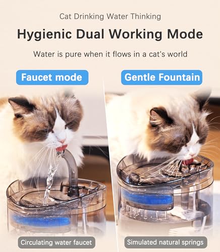 Cat Water Fountain 61OZ Automatic Pet Drinking Dispenser with Filters C226
