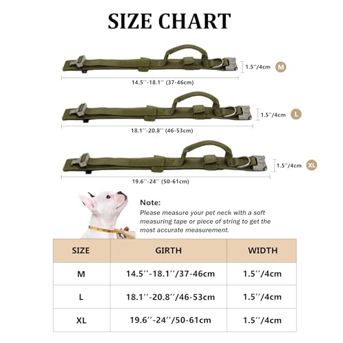 Tactical Dog Collar with Handle and Metal Buckle Y6161