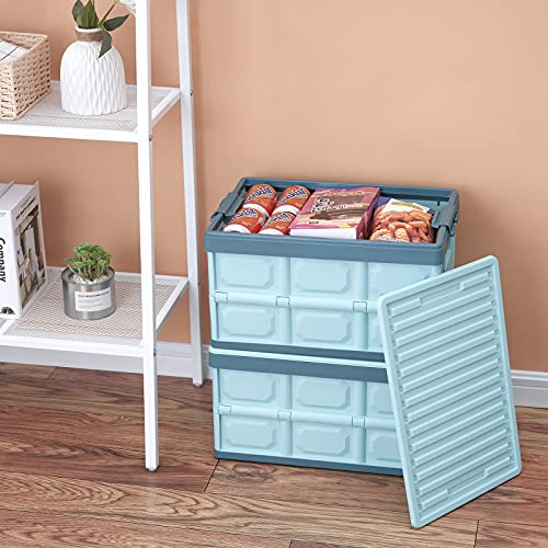 Collapsible Storage Bins with Lids 30L, Stackable Plastic Crates 2-Pack E2742