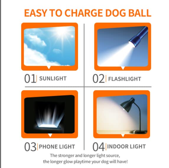 Interactive Squeaky Dog Ball, Glow in Dark, Floating Toy for Dogs R133373