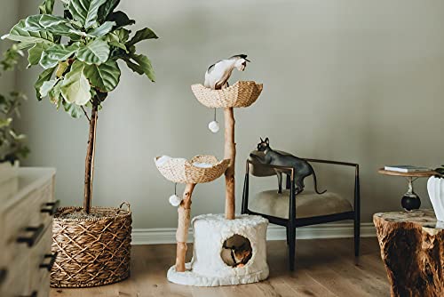 Modern Cat Tree Tower for Large Cats with Scratching Posts I41660