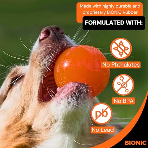 Ball Dog Toy, Small - Interactive Chew Toy for Dogs up to 20 lbs K221861