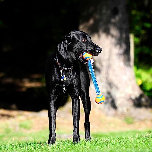 Dog Tug Toy for Medium Dogs O2353