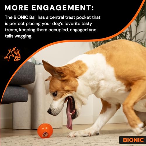 Ball Dog Toy, Small - Interactive Chew Toy for Dogs up to 20 lbs K221861
