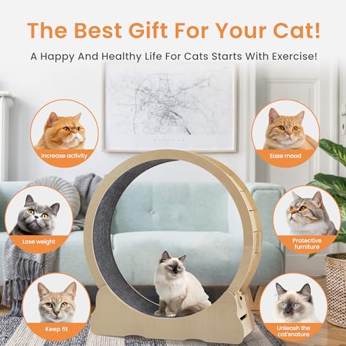 Cat Exercise Wheel for Indoor Cats, Wooden Running Wheel with Lock Feature A225233