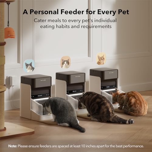 Automatic Cat Feeder with App Control and RFID Tag N185