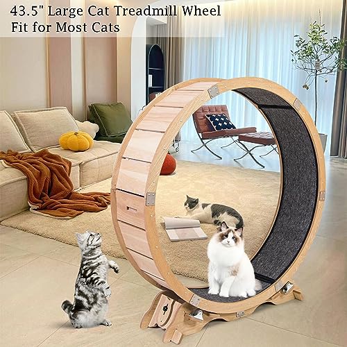 Cat Exercise Wheel for Indoor Cats, Maple Wood Running Wheel Y737265