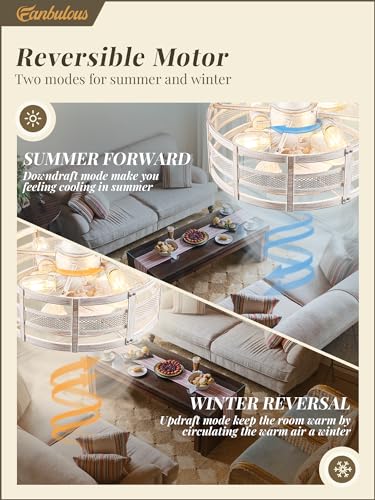 Caged Ceiling Fan with Light and Remote, Bladeless, 6 Speeds, White and Gold L189918