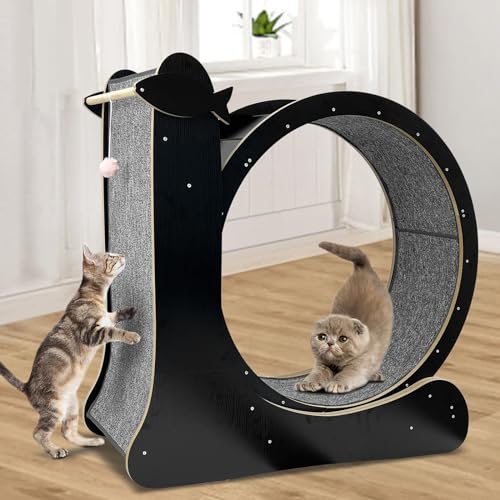 Cat Exercise Wheel for Indoor Cats with Silent TPE Roller A566