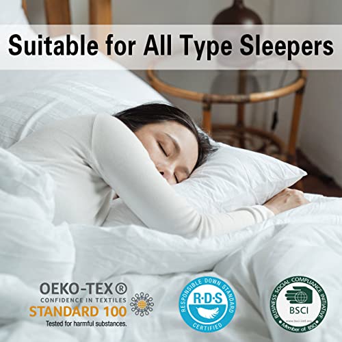 Queen Size Down Feather Pillow 2 Pack with Cotton Cover O830679