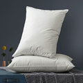 Down Feather Bed Pillow Queen Size 2 Pack,Plush Soft Pillow Insert for Back Side Stomach Sleepers,Pillows with 100% Cotton Cover 20"X28"