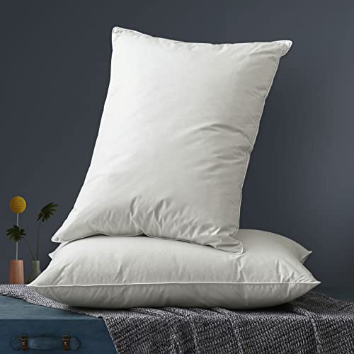 Down Feather Bed Pillow Queen Size 2 Pack,Plush Soft Pillow Insert for Back Side Stomach Sleepers,Pillows with 100% Cotton Cover 20"X28"