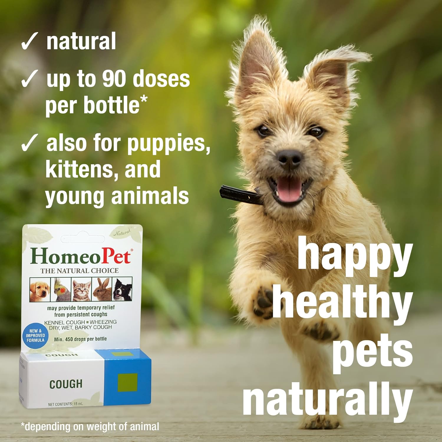 Cough Relief for Dogs, Cats, and Small Pets, 15 ml B61521