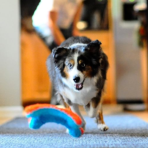 Indoor Fetch Tumbler Dog Toy, 6.5 Inch K83440