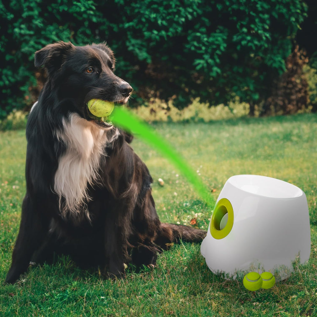 Automatic Ball Thrower for Dogs, Interactive Fetch Toy with 3 Tennis Balls N229