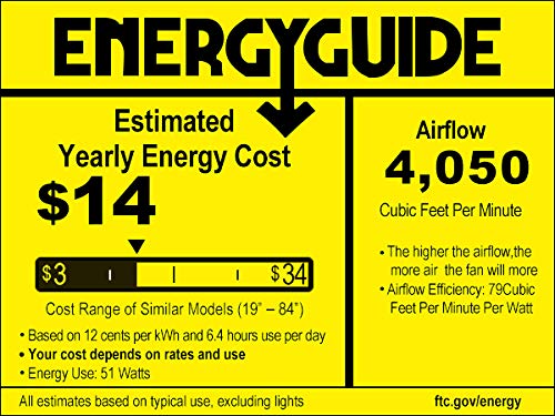 Caged Ceiling Fan with Lights Remote Control, 52" Industrial Black, 5 Reversible Blades L834504
