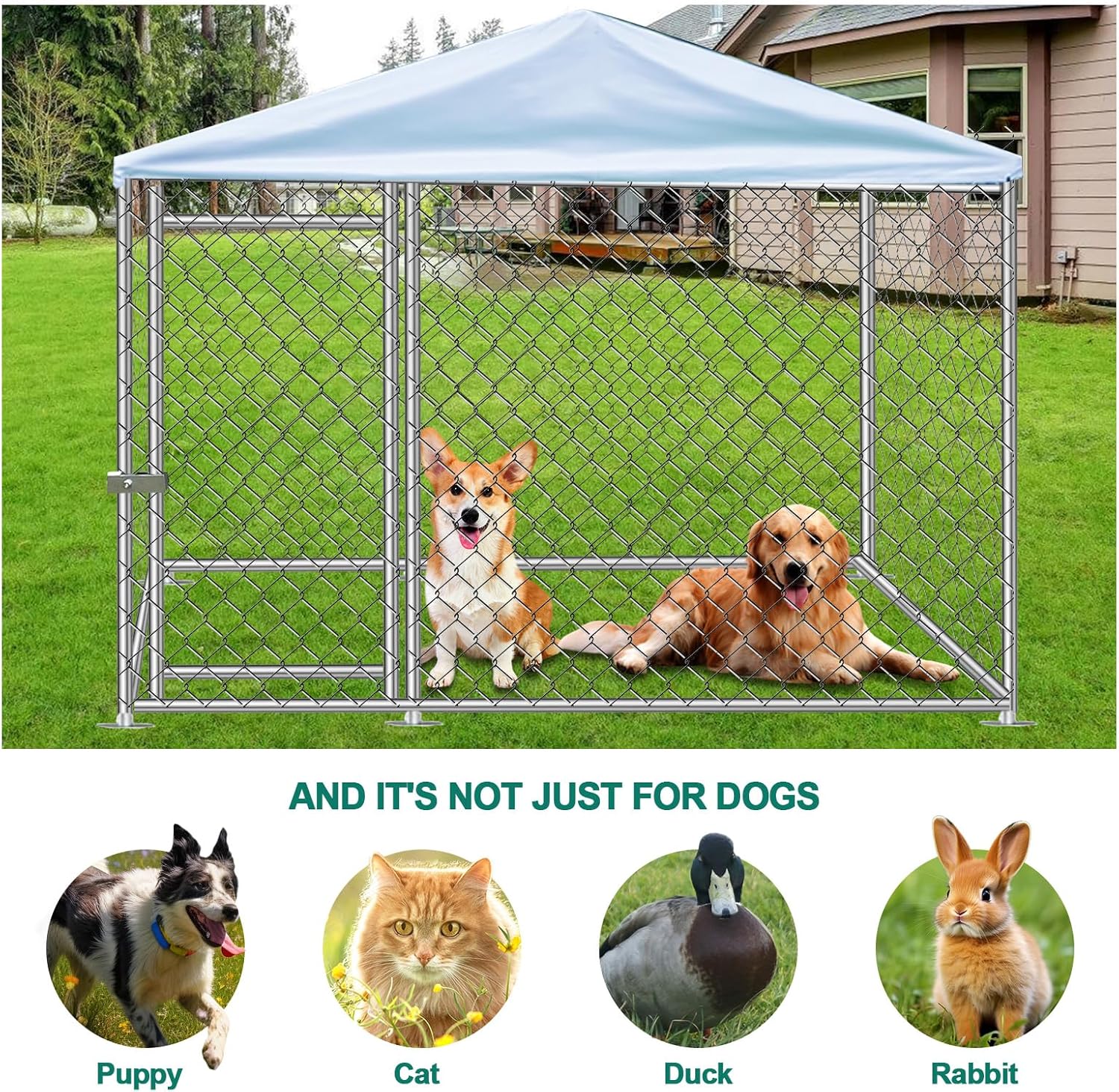 Outdoor Dog Kennel with Waterproof Roof and Lockable Door, 6.5x6.5x5 ft C53000