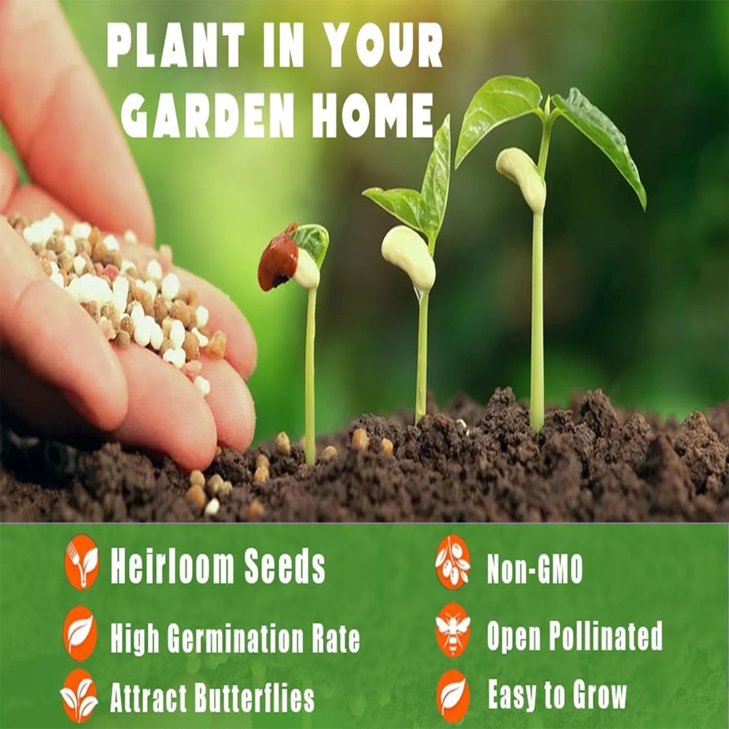 Wild Plum Tree Fruit Seeds for Planting Outdoor Perennial U773681