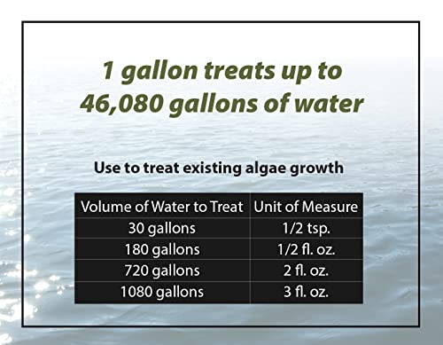Pond Algae Control - 64oz Algaecide for Fountains & Outdoor Fish Ponds N4077