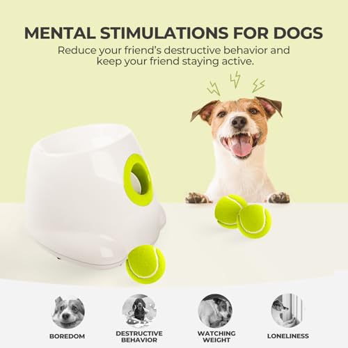 Automatic Ball Launcher for Small and Medium Dogs, 3 Balls Included R48097