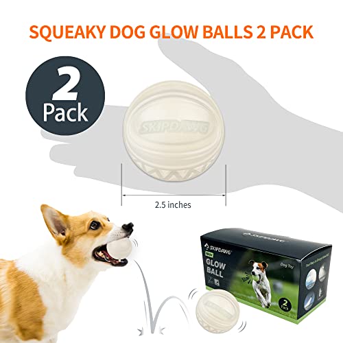 Interactive Squeaky Dog Ball, Glow in Dark, Floating Toy for Dogs R133373
