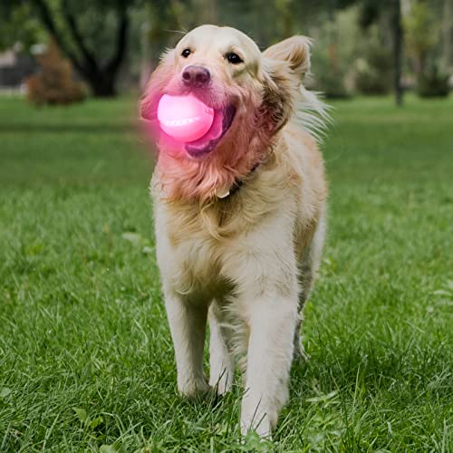 LED Dog Ball, Glowing Interactive Toy with USB Rechargeable A5400