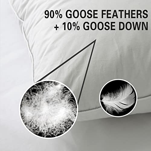 Queen Size Down Feather Pillow 2 Pack with Cotton Cover O830679