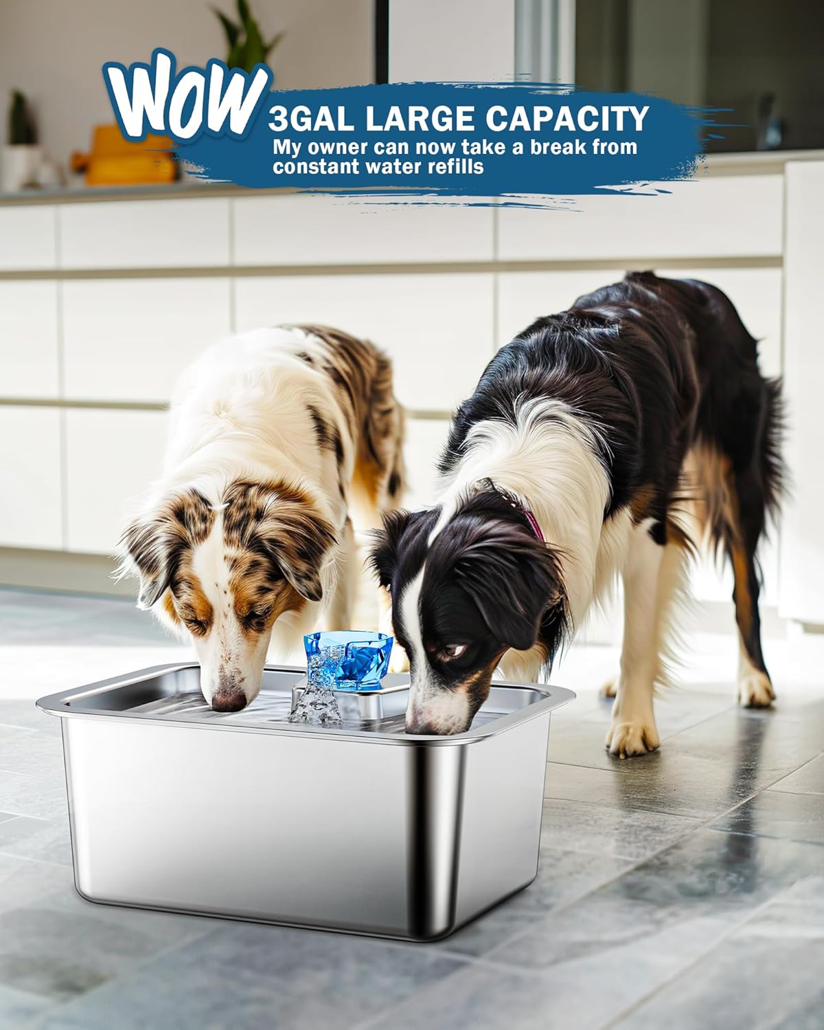 Stainless Steel Dog Water Fountain for Large Dogs, 3 Gallon with 2 Filters E635